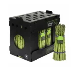 Calcium-Based Waterproof Packaging Boxes calcium waterproof box asparagus 800x800