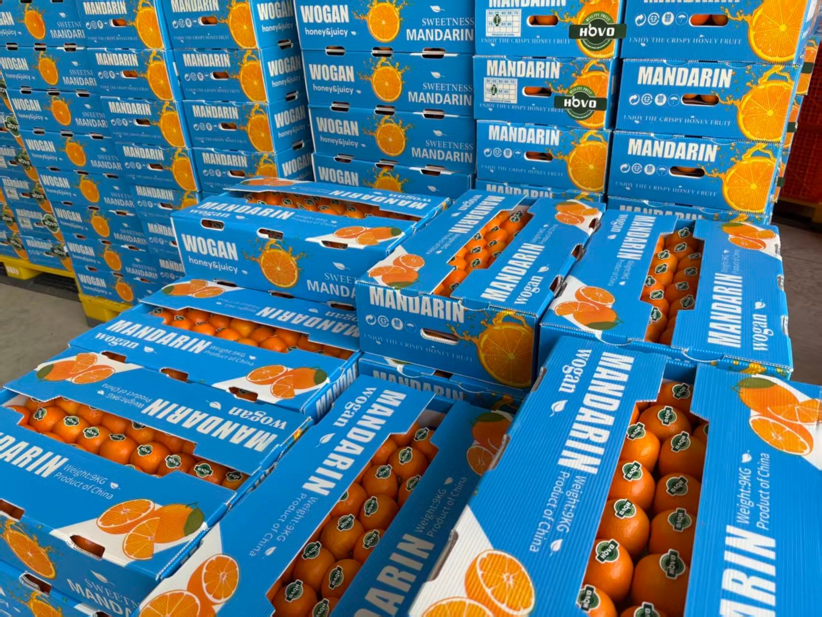 Home Mandarin produce boxes stacked for handling