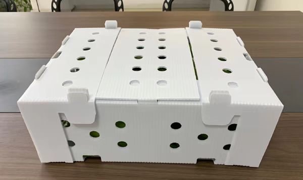 White ventilated PP corrugated plastic broccoli packing box for cold-chain export
