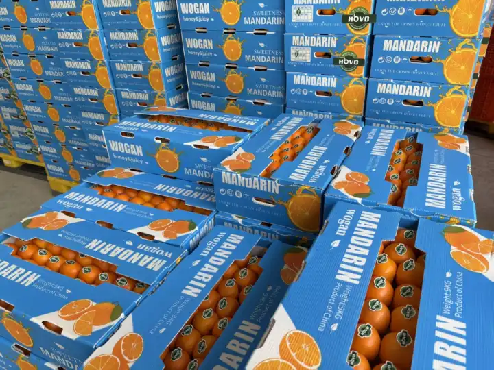 Home Mandarin produce boxes stacked in a packing warehouse