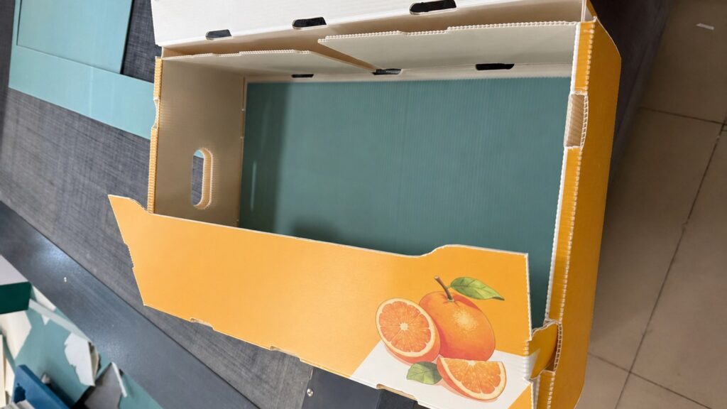 Corrugated polypropylene packaging box with hollow fluted structure