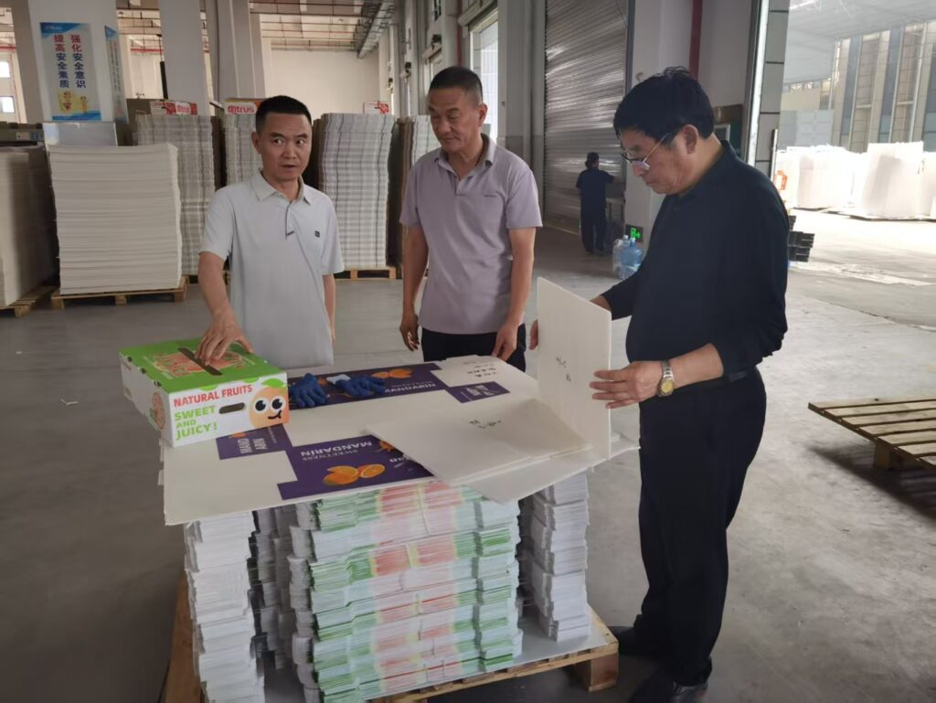 PP corrugated produce boxes and board samples being reviewed at the factory
