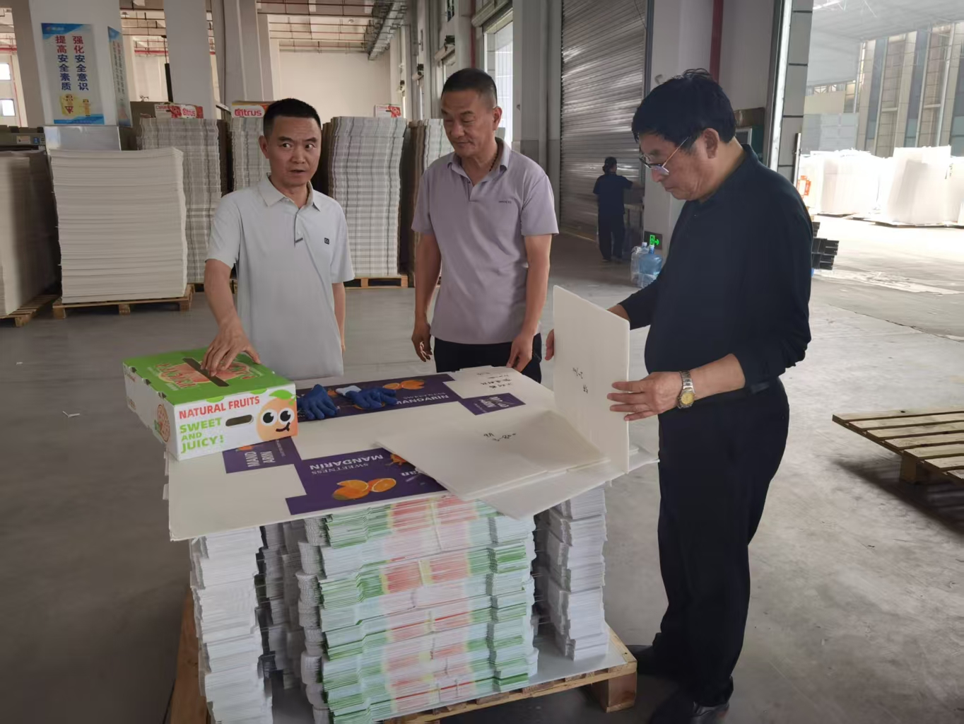 PP corrugated produce boxes and board samples being reviewed at the factory
