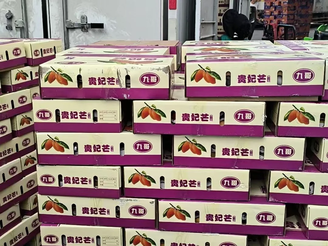 Printed ventilated mango produce boxes stacked beside loading trucks