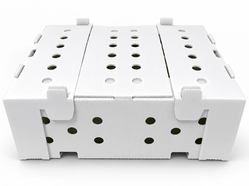 White ventilated corrugated plastic produce box with die-cut openings